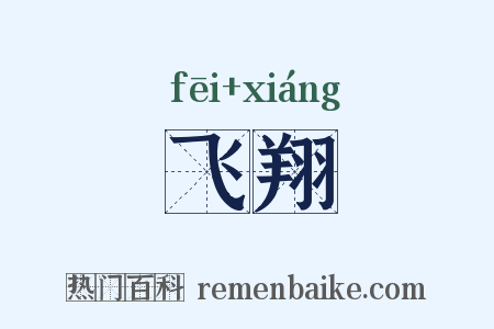 飞翔是什么意思的图片